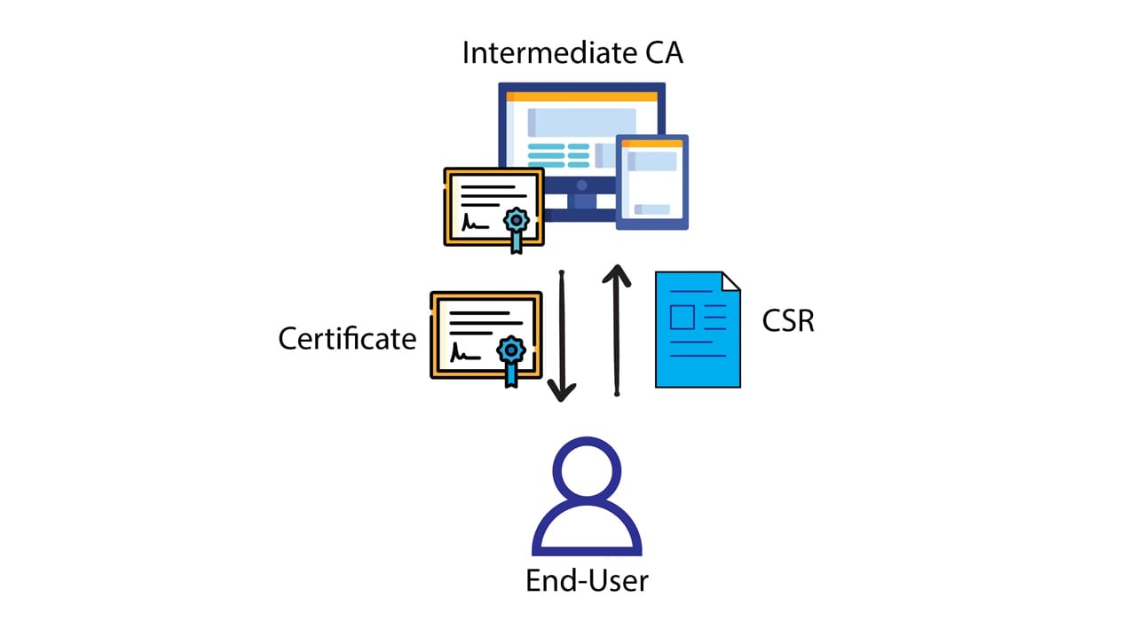 Root Certificates Root vs Intermediate Certificates