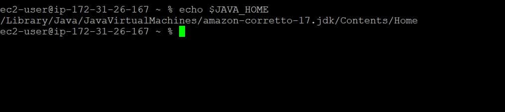 Check Java home variable